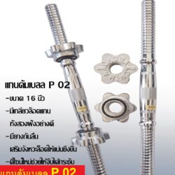 Paragon รุ่น แกนดัมเบลล P 02