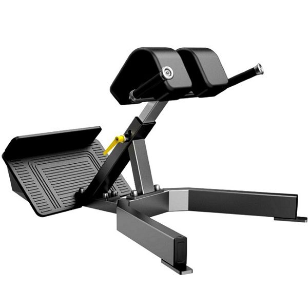 BACK EXTENSION