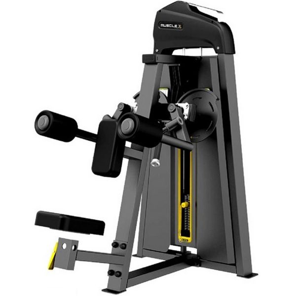 LATERAL RAISE