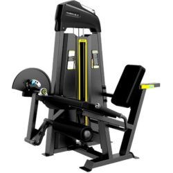 Leg Extension