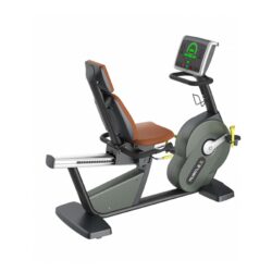 RECUMBENT BIKE
