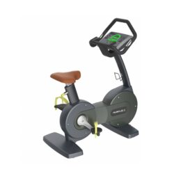 UPRIGHT BIKE